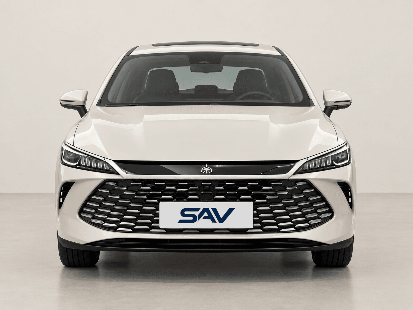 BYD Qin Plus 사진 2