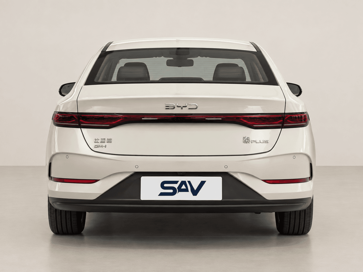 BYD Qin Plus 사진 6