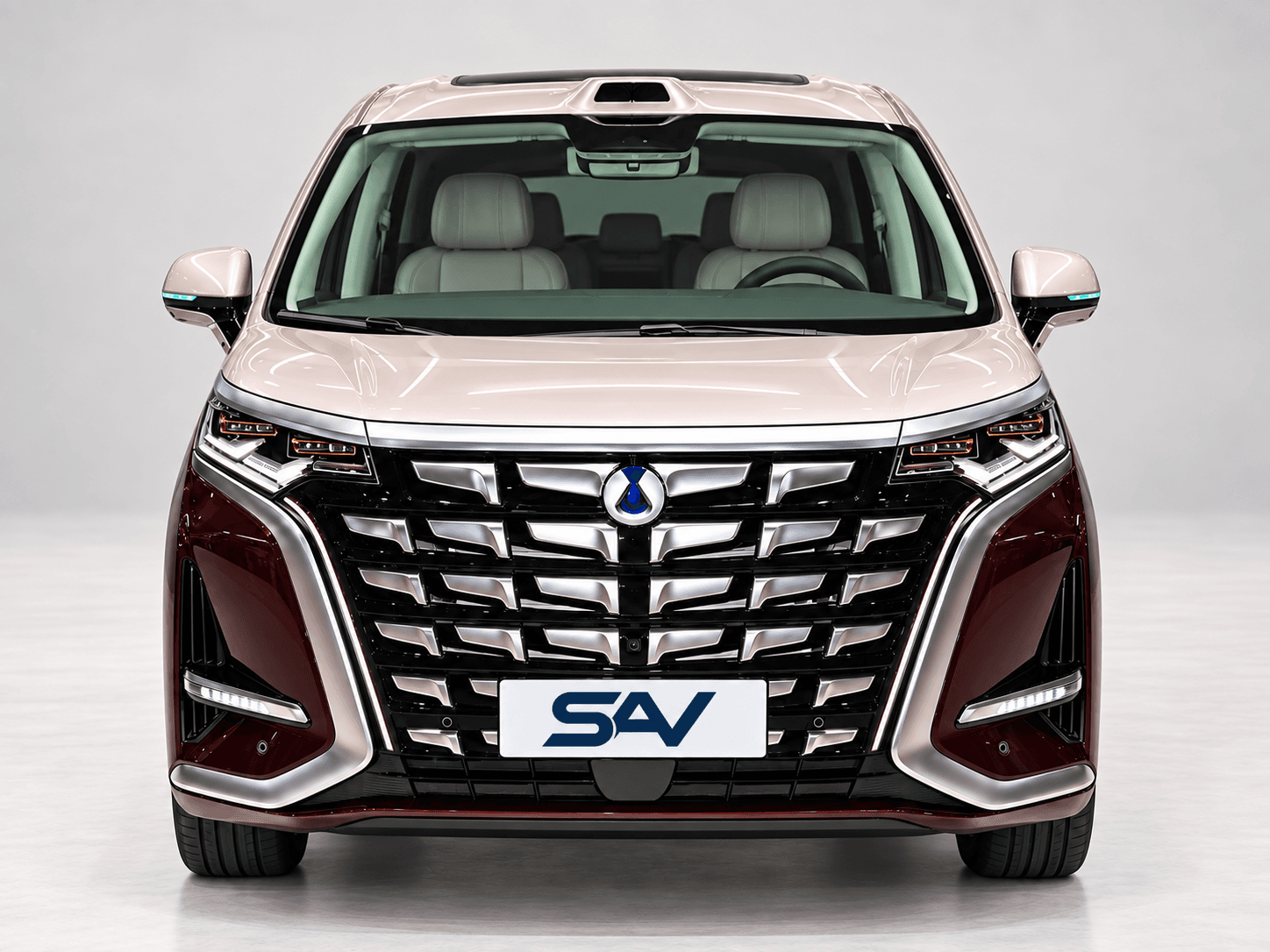 BYD (Denza) Denza D9 사진 2