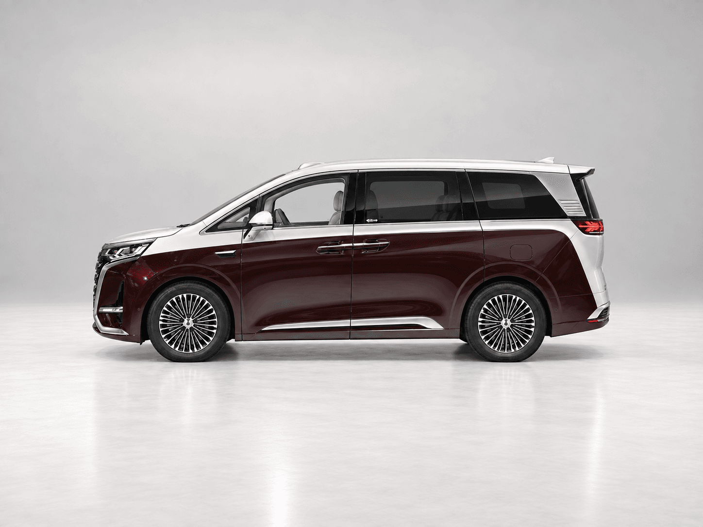 BYD (Denza) Denza D9 사진 3