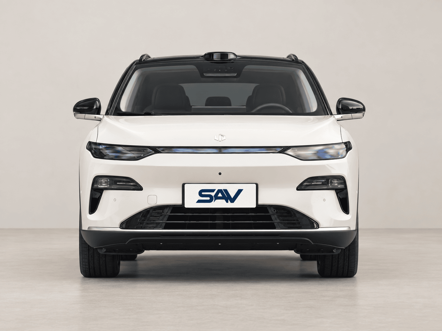 Leapmotor C11 사진 2