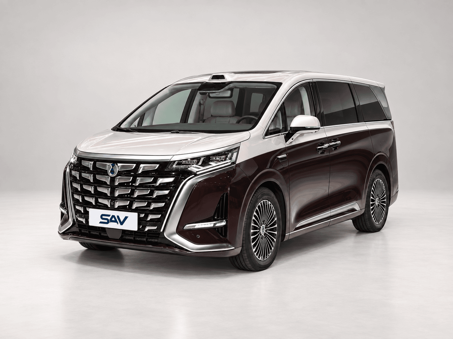 BYD (Denza) Denza D9 사진 1